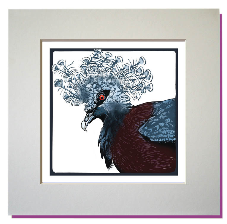 small mounted print pidgeon